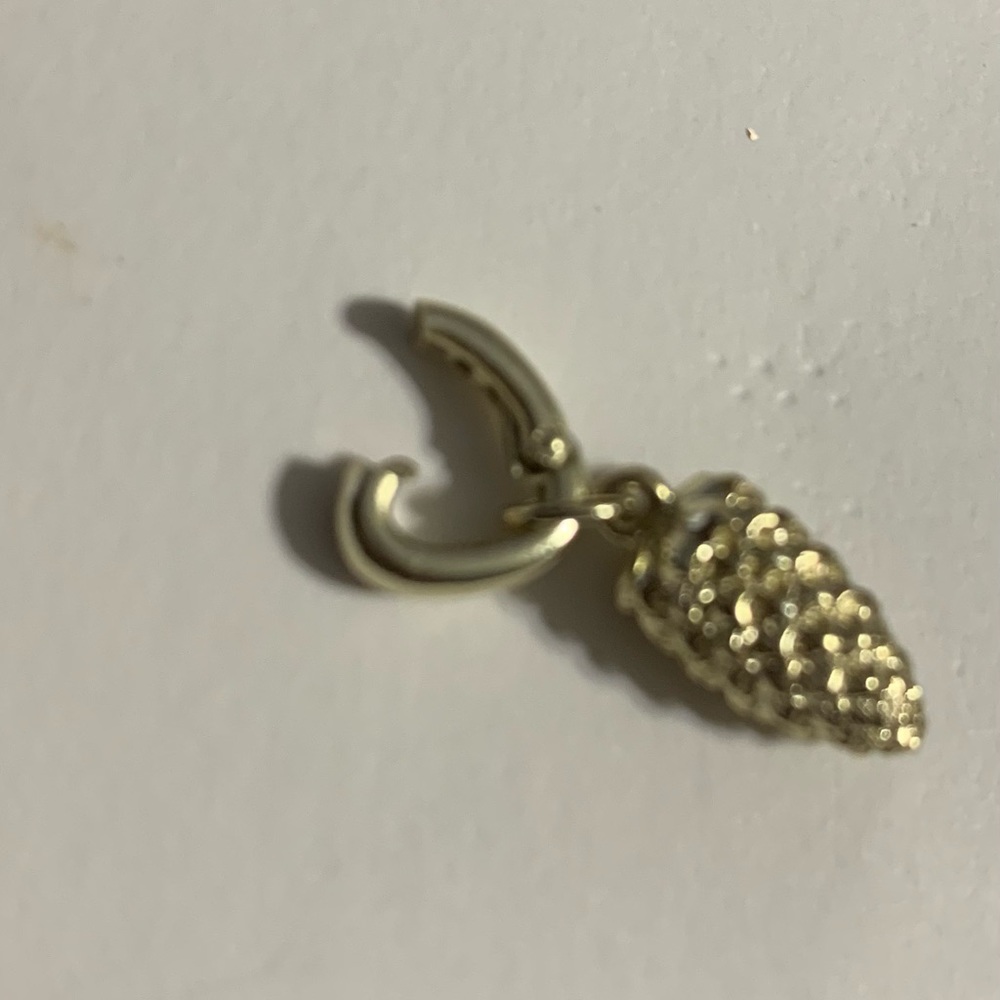 🐘🐘💓 Oregon Pinecone Charm in Gold - Picture 4 of 4